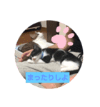 あ～あたたかい（個別スタンプ：1）