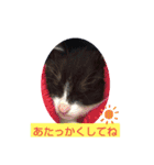 あ～あたたかい（個別スタンプ：3）
