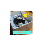 あ～あたたかい（個別スタンプ：7）