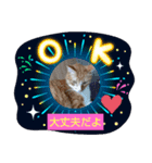 あ～あたたかい（個別スタンプ：8）