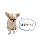 鬱ろーさん（個別スタンプ：16）
