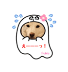 大吉＆福の使えるスタンプ（個別スタンプ：1）