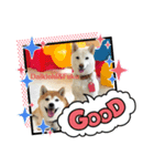 大吉＆福の使えるスタンプ（個別スタンプ：3）