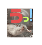 バニラッティ（個別スタンプ：2）
