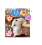 バニラッティ（個別スタンプ：3）