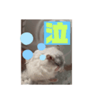 バニラッティ（個別スタンプ：4）