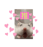 バニラッティ（個別スタンプ：6）