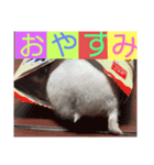 バニラッティ（個別スタンプ：7）