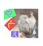 バニラッティ（個別スタンプ：13）