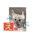 バニラッティ（個別スタンプ：14）