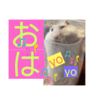 バニラッティ（個別スタンプ：16）