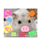バニラッティ（個別スタンプ：22）