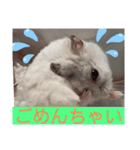 バニラッティ（個別スタンプ：23）