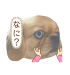 えるのスタンプ③（個別スタンプ：4）
