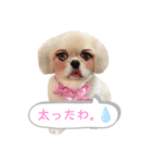 えるのスタンプ③（個別スタンプ：8）