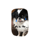 ぶさかわもなこ（個別スタンプ：2）