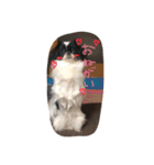 ぶさかわもなこ（個別スタンプ：3）