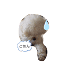 ☆コタロウ☆（個別スタンプ：1）