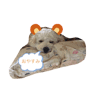 ☆コタロウ☆（個別スタンプ：4）