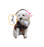 ☆コタロウ☆（個別スタンプ：5）