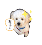 ☆コタロウ☆（個別スタンプ：8）