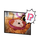 しろみの日常（個別スタンプ：2）