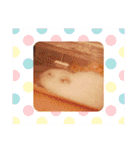 しろみの日常（個別スタンプ：6）