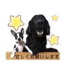bibiすたんぷ（個別スタンプ：26）