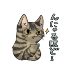 ねこ空間チャモラのイラストスタンプ1（個別スタンプ：8）