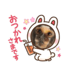 4☆コモンマーモセットのキーくんとお友達（個別スタンプ：19）