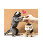 4☆コモンマーモセットのキーくんとお友達（個別スタンプ：40）