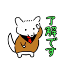 まっちろ犬（個別スタンプ：20）