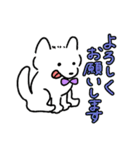 まっちろ犬（個別スタンプ：24）