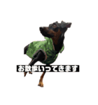 デカピンaceの日常2（個別スタンプ：1）