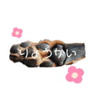 デカピンaceの日常2（個別スタンプ：7）