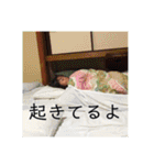 戦号（個別スタンプ：6）