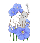❤️可愛い猫たちと綺麗なお花❤️日常ver（個別スタンプ：11）