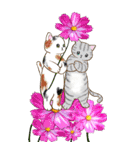 ❤️可愛い猫たちと綺麗なお花❤️日常ver（個別スタンプ：17）