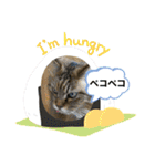 猫と小鳥のにゃんかイイ感じ（個別スタンプ：13）