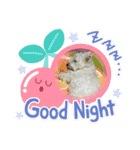 Anneちゃんち（個別スタンプ：9）