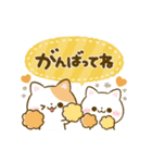 動く♡大人可愛い♡ねこねこにゃんこ（個別スタンプ：14）