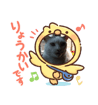 仲良しキャットファミリー23（個別スタンプ：6）