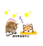 柴犬らんの日常⑤（個別スタンプ：9）