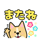 デカ文字見やすい犬のモモちゃんスタンプ（個別スタンプ：39）