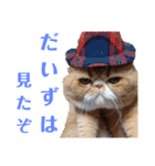 だいずとトトロ（個別スタンプ：2）