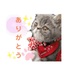 だいずとトトロ（個別スタンプ：11）