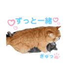 だいずとトトロ（個別スタンプ：14）