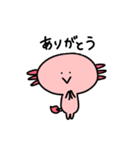 うぱみとわに太（個別スタンプ：10）