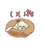 ミックス犬ダップー/クレちゃんスタンプ冬（個別スタンプ：28）