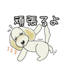 ミックス犬ダップー/クレちゃんスタンプ冬（個別スタンプ：32）